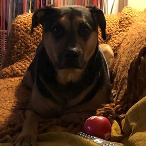 Meet your Posher, Miguel